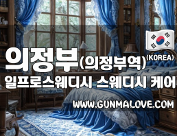 의정부 의정부역 [일프로스웨디시] 마사지