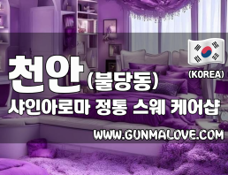 천안 불당동 [샤인아로마] 이미지