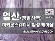 일산 정발산역 [마카롱스웨디시] 이미지