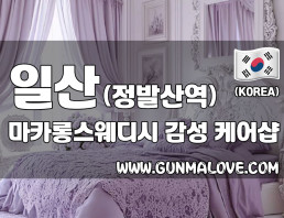 일산 정발산역 [마카롱스웨디시] 이미지