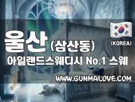 울산 삼산동 [아일랜드스웨디시] 이미지