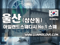 울산 삼산동 [아일랜드스웨디시] 이미지