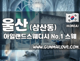 울산 삼산동 [아일랜드스웨디시] 이미지