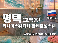 평택 고덕동 [러시아스웨디시] 이미지