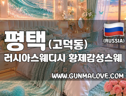 평택 고덕동 [러시아스웨디시] 이미지