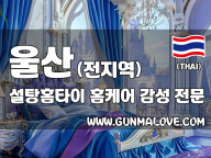 울산 전 지역 홈케어 [설탕홈타이] 이미지