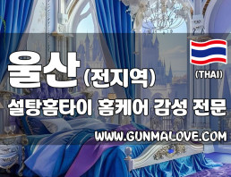 울산 전 지역 홈케어 [설탕홈타이] 이미지