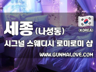 세종 나성동 [시그널] 이미지