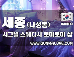 세종 나성동 [시그널] 이미지