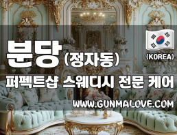 분당 정자역 [퍼펙트샵] 이미지