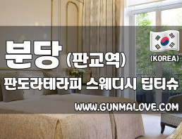 분당 판교역 [판도라테라피] 이미지