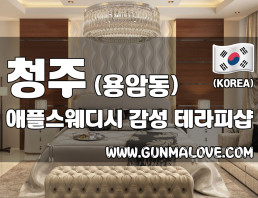 청주 용암동 [애플] 이미지