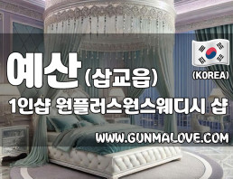예산 삽교읍 1인샵 [원플러스원스웨디시] 이미지