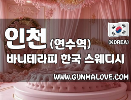 인천 연수역 [바니테라피] 이미지