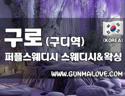 구로 구디역 [퍼플스웨디시] 이미지