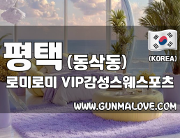 평택 동삭동 [로미로미] 이미지