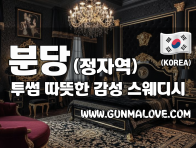 분당 정자역 [투썸] 이미지