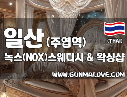일산 주엽역 [녹스] 이미지