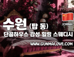 수원 탑동 [단골하우스] 이미지