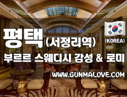 평택 서정리역 [부르르스웨디시] 이미지