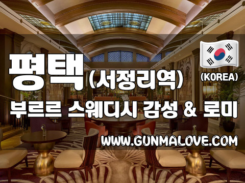 평택 서정리역 [부르르스웨디시] 이미지