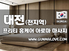 대전 전지역 홈케어 [프리티] 이미지