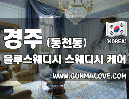 경주 동천동 [블루스웨디시] 이미지