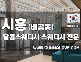 시흥 배곧동 [달콤스웨디시] 이미지