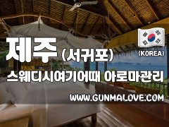 서귀포 서귀동 [스웨디시여기어때] 이미지