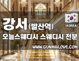 강서 마곡동 발산역 [오늘스웨디시] 이미지