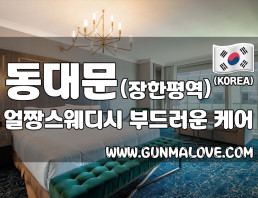 동대문 장한평역 [얼짱스웨디시] 이미지