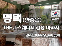 평택 안중읍 [더제이스웨디시] 이미지