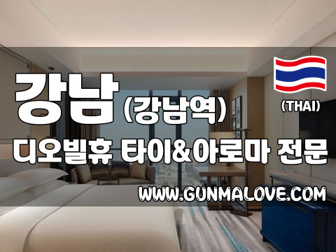 강남 강남역 [디오빌휴] 이미지