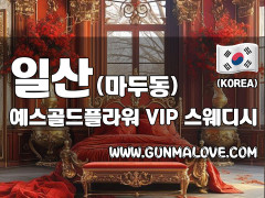 일산 마두동 [예스골드플라워] 이미지