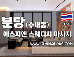 분당 수내동 [에스지엔스웨디시] 이미지