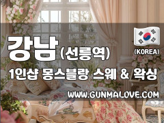 강남 선릉역 1인샵 [몽스블랑] 이미지
