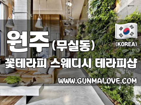 원주 무실동 [꽃테라피] 이미지