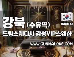 강북 수유역 [드림스웨디시] 이미지
