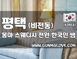 평택 비전동 [몽마스웨디시] 이미지