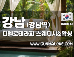 강남 강남역 [디엘로테라피] 이미지
