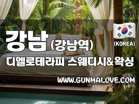 강남 강남역 [디엘로테라피] 이미지