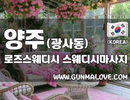 양주 광사동 [로즈스웨디시] 이미지