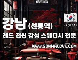강남 선릉역 [레드] 이미지