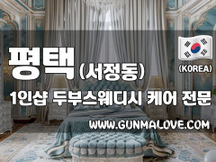 평택 서정동 1인샵 [두부스웨디시] 이미지