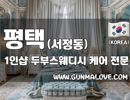 평택 서정동 1인샵 [두부스웨디시] 이미지