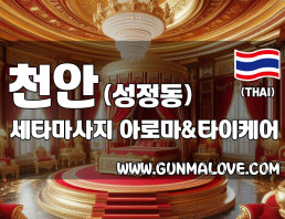 천안 성정동 [세타마사지] 이미지