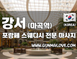 강서 마곡역 [포람페스웨디시] 이미지