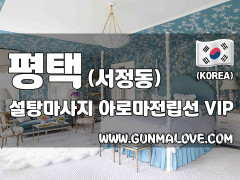 평택 서정동 [설탕마사지] 이미지