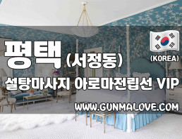 평택 서정동 [설탕마사지] 이미지