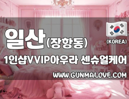 일산 장항동 1인샵 [VVIP아우라] 이미지
